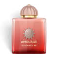 Amouage Guidance 46